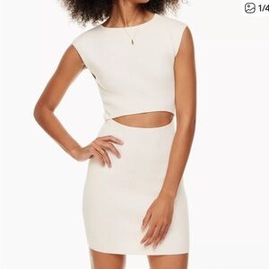 Aritzia Wilfred Knit Dress
